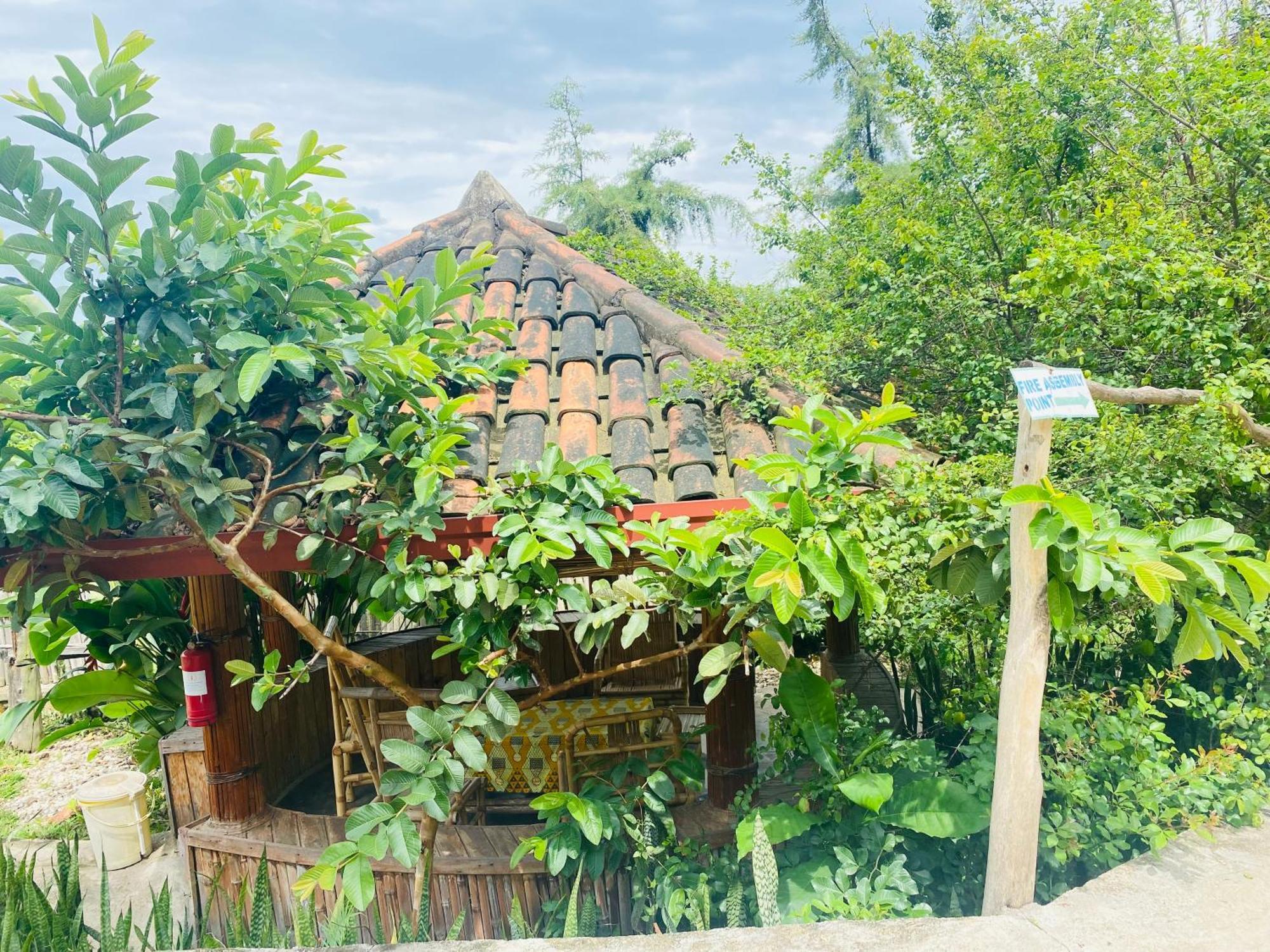 Kivu Macheo Eco-Lodge Kibuye 외부 사진